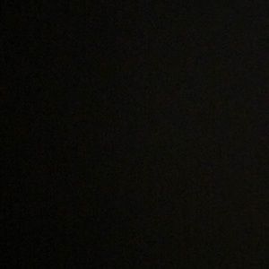 Meet your Posher, Carolann